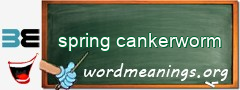 WordMeaning blackboard for spring cankerworm